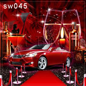 8'x8' SW045